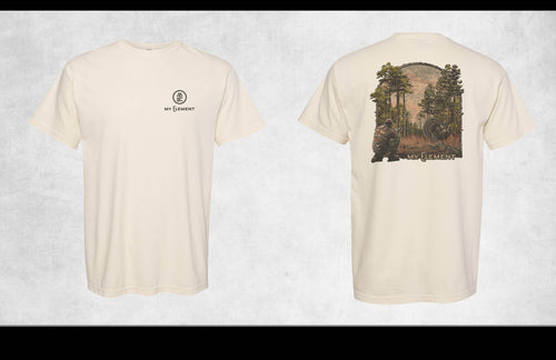 Turkey Hunting